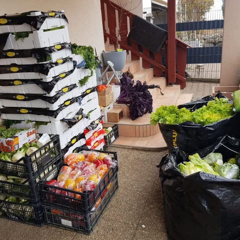 Kisten mit verschiedenem Gemüse als Meerschweinchenfutter